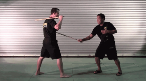 Kali Single Stick Video